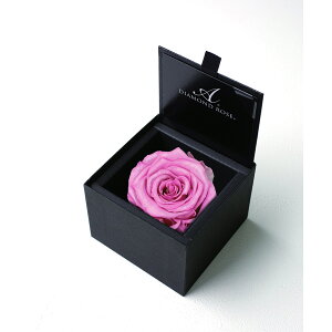 �y�v���U�[�u�h�z�A�����[�T/�_�C�������h���[�Y�{�b�N�X�@85�i���F�}�b�g�u���b�N�j�@�p���X�s���N/1201-22�y21�z �v���U�[�u�h�t�����[ �v���U�[�u�h�t�����[�M�t�g �o��1��