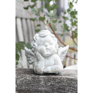 RxgK[f/xbLjEo[h 2A\[g/QB-26y07z K[fjOE|pi K[fjOG݁EI[ig uEI[ig