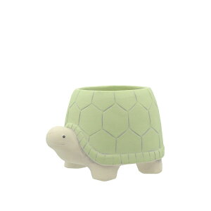 Aؔ  CARNAC/hj[Y^[gL|MT ~g/CP2425MTy01z K[fjOE|pi t[|bg Zg