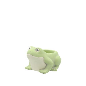 CARNAC/hj[YtbOS|MT ~g/CP2426MTy01z[2] K[fjOE|pi AؔEt[|bg Zg