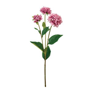 yԁzMAGIQ/Z[k_A _[N[u #42 DKMV/FM002986-042y01z ԁiA[eBtBVt[j  ԍށusv _A