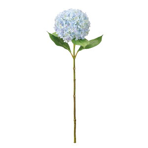 yԁzMAGIQ/{k[nChWA Cgu[ #5 LTBL/FM000540-005y01z ԁiA[eBtBVt[j  ԍށusv izԁj