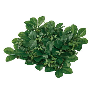 yԁzMAGIQ/VFt}bg O[ GREEN/FG001087y01z ԁiA[eBtBVt[j ԗtAtFCNO[ ̑̑ԗtEtFCNO[