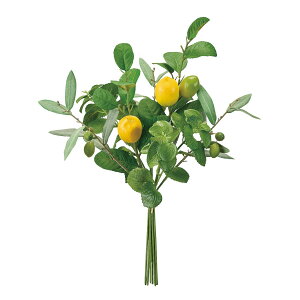 �y���ԁzMAGIQ������/�V�`���A���o���h�� �O���[�� GREEN/FM000370�y01�z ���ԁi�A�[�e�B�t�B�V�����t�����[�j ���ԗt���A�t�F�C�N�O���[�� �n�[�u