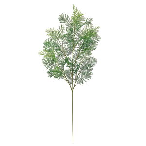 yԁzMAGIQ/ReCO/Go[tbV} O[ GREEN/FG302308y01z ԁiA[eBtBVt[j Ԏ} ̑̑Ԏ}