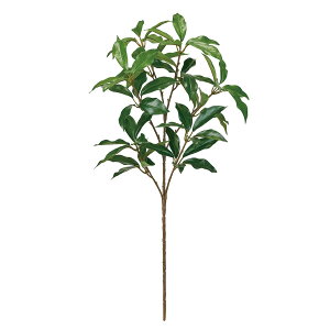 yԁzMAGIQ/VL~} O[ GREEN/FG000332y01z ԁiA[eBtBVt[j ԗtAtFCNO[ TJL