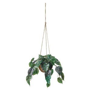 ylHϗtAzMAGIQ/AXEnMO(G})/ZV002010 ԕiLZsy12z ԁiA[eBtBVt[j ԗt ԁElHϗtA |bg