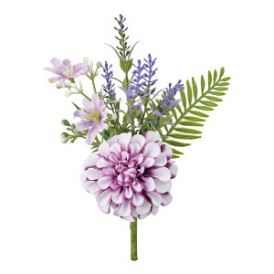   yԁz/Ai_Aoh/ZA005478y01z dp p  tďH~