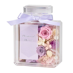 yvU[uhzi΂j/ZY005015y01z vU[uht[ vU[uht[Mtg ԁidEj