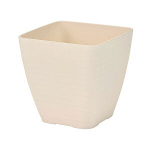 /Rh XNGA zCg #1 WHITE/CX000020-001y01z ԊA[X ԊEԕr |Ԋ