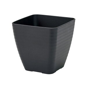 /Rh XNGA ubN #20 BLACK/CX000020-020y01z ԊA[X ԊEԕr |Ԋ