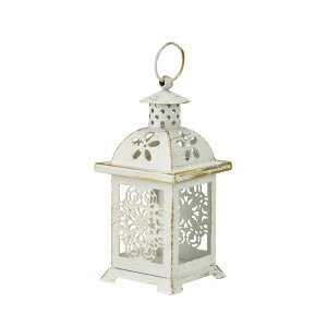 NVF WH/GD/XY001220y01z ԊA[X ԊEԕr uLEACA