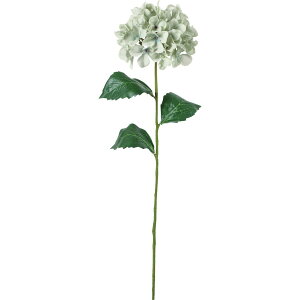 yԁzYDM/RtH[gnChWA O[O[/FD-0138GGRy01z ԁiA[eBtBVt[j  ԍށusv izԁj