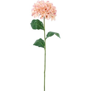 yԁzYDM/RtH[gnChWA sN[/FD-0138P/My01z ԁiA[eBtBVt[j  ԍށusv izԁj