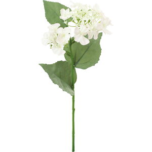 yԁzYDM/RtH[gnChWA N[/FD-0141CRy01z ԁiA[eBtBVt[j  ԍށusv izԁj