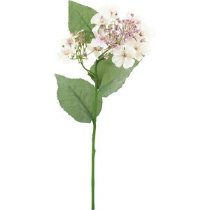 yԁzYDM/RtH[gnChWA sN/FD-0141Py01z ԁiA[eBtBVt[j  ԍށusv izԁj