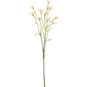 yԁzYDM/RtH[gfCW[Xv[ IW/FD-0134ORy01z ԁiA[eBtBVt[j  ԍށusv f[W[