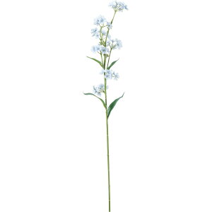 yԁzYDM/RtH[gXiOTXv[ u[/FD-0136BLUy01z ԁiA[eBtBVt[j  ԍށusv Yȑ