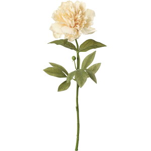 yԁzYDM/ZsAsIj[ x[W/FA-7438BEy01z ԁiA[eBtBVt[j  ԍށusv VNNi䉖jE{^iOjEsIj[