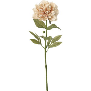 yԁzYDM/ZsAsIj[ x[WsN/FA-7438BEPy01z ԁiA[eBtBVt[j  ԍށusv VNNi䉖jE{^iOjEsIj[