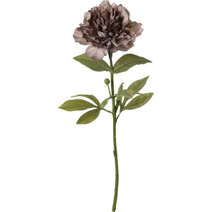 yԁzYDM/ZsAsIj[ Cgp[v/FA-7438LPUy01z ԁiA[eBtBVt[j  ԍށusv VNNi䉖jE{^iOjEsIj[