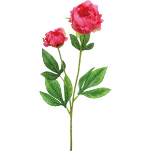 yԁzYDM/sIj[×2 r[eB[/FA-7467BTYy01z ԁiA[eBtBVt[j  ԍށusv VNNi䉖jE{^iOjEsIj[