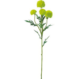 yԁzYDM/s|}Xv[ O[/FA-7465GRy01z ԁiA[eBtBVt[j  ԍށusv LNiejEs|}