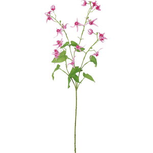 yԁzYDM/GsfBE r[eB[/FA-7444BTYy01z ԁiA[eBtBVt[j  ԍށusv ̑usvԉԍ