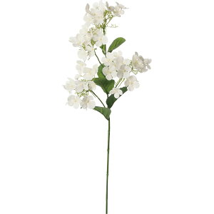 yԁzYDM/i`[nChWA N[/FA-7457CRy01z ԁiA[eBtBVt[j  ԍށusv izԁj