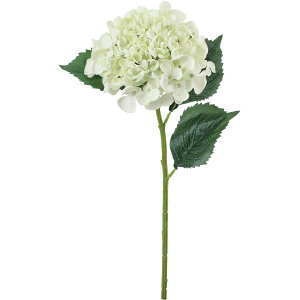 yԁzYDM/XenChWA N[/FA-7463CRy01z ԁiA[eBtBVt[j  ԍށusv izԁj