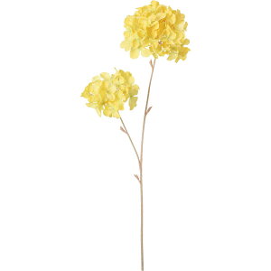 yԁzYDM/J[hnChWA CG[/FA-7426Yy01z ԁiA[eBtBVt[j  ԍށusv izԁj