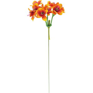 yԁzYDM/ro[isbN20PZbg IW/FZY-0442ORy01z ԁiA[eBtBVt[j  ԍށu͍sv ro[i