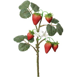 yԁzYDM/Xgx[V[gu` bh/FG-5291Ry01z ԁiA[eBtBVt[j ԎAtFCNt[c EXgx[