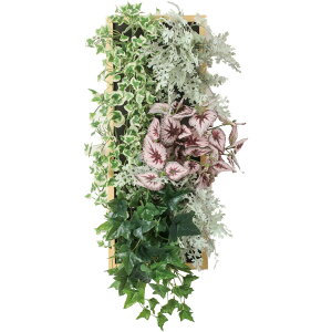 yԁzYDM/bNt[AWK[[A/PDSS-0019y01z ԁiA[eBtBVt[j ԃMtg t[AW