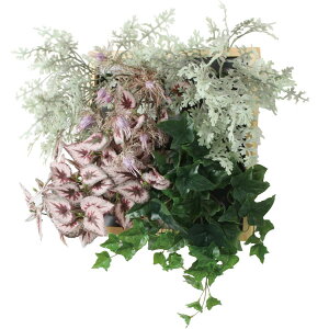 yԁzYDM/bNt[AWK[[B/PDSS-0020y01z ԁiA[eBtBVt[j ԃMtg t[AW