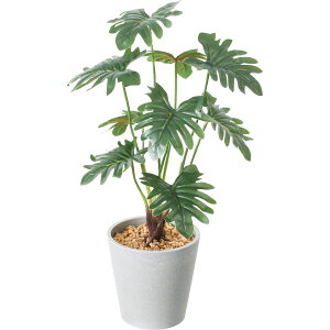 ylHϗtAzYDM/Z[|bg O[/GLA-1562GRy01z ԁiA[eBtBVt[j ԗt ԁElHϗtA `50cm