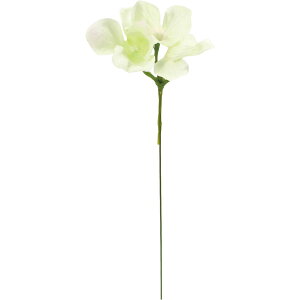 yԁzYDM/AWTCsbN20PZbg N[sN/FZY-0439CRPy01z ԁiA[eBtBVt[j  ԍށusv izԁj