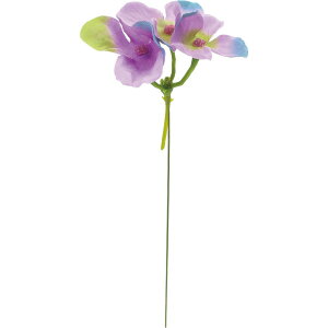 yԁzYDM/AWTCsbN20PZbg x_[/FZY-0439LAVy01z ԁiA[eBtBVt[j  ԍށusv izԁj