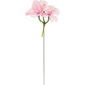 yԁzYDM/AWTCsbN20PZbg sN/FZY-0439Py01z ԁiA[eBtBVt[j  ԍށusv izԁj