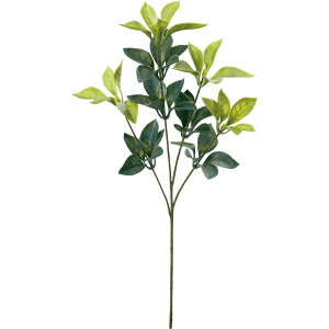   yԁzYDM/vVLrM O[/FG-5326GRy01z dp p  tďH~