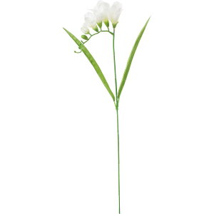 yԁzYDM/t[WA N[/FS-7959CRy01z ԁiA[eBtBVt[j  ԍށu͍sv t[WA