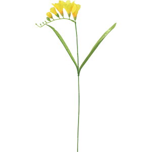 yԁzYDM/t[WA CG[/FS-7959Yy01z ԁiA[eBtBVt[j  ԍށu͍sv t[WA