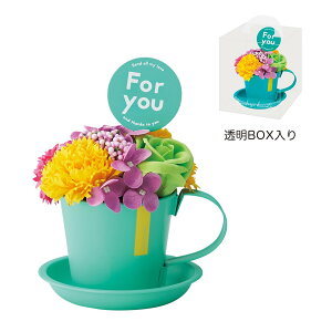 �y�\�[�v�t�����[�zGREENHOUSE/�r�r�b�h�}�O�\�[�v�t�����[ �~���g/5250-MT�y01�z[2��] �v���U�[�u�h�t�����[ �t���O�����X�\�[�v�t�����[ �\�[�v�t�����[�����i�M�t�g �v���[���g �t �� ������ 