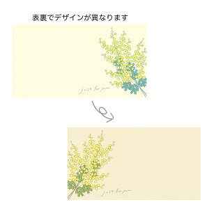 GREENHOUSE/MtgbZ[WJ[h ʈ ~U2/5305y01z[10] bsOpi A bZ[WJ[h O[eBOJ[h