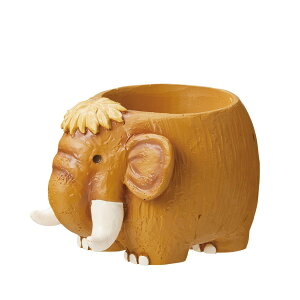 Aؔ  GREENHOUSE/gW|bg }X/5266y01z[4] K[fjOE|pi t[|bg W