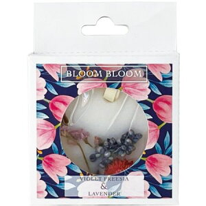 BB bNXTVF202|00|021 Vt[WAx_[/74-20200-21y01z A}G