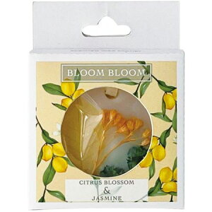 BB bNXTVF202|00|022 VgXubTWX~/74-20200-22y01z A}G