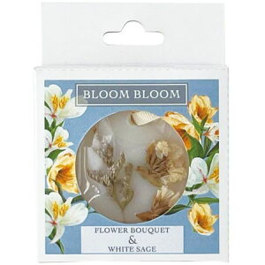 BB bNXTVF202|00|023 t[u[PzCgZ[W/74-20200-23y01z A}G