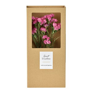 yhCz/hCt[{bNX X^[`X i`_[NsNn/FD082037y01z hCt[ hCt[Mtg