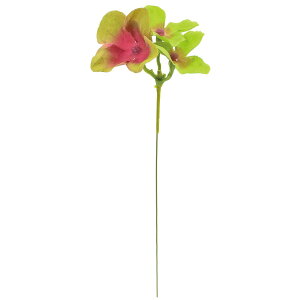 yԁzYDM/AWTCsbN20PZbg O[bh/FZY-0439G/Ry01z ԁiA[eBtBVt[j  ԍށusv izԁj